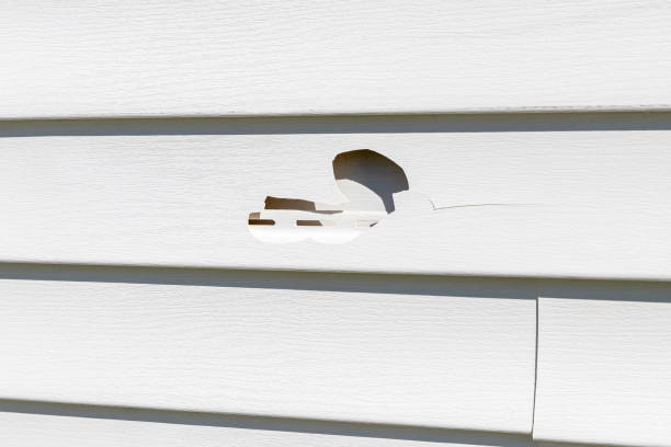 Affordable siding repair and maintenance services in Pheasant Run, OH