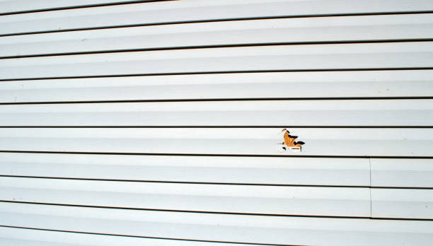 Best Weatherproofing and Sealing  in Pheasant Run, OH